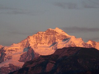 Jungfrau in Abendstimmung