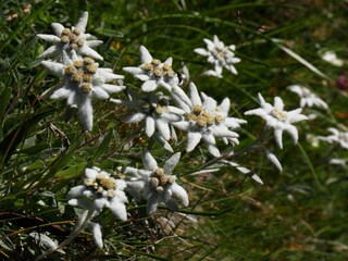 Appartamento per vacanze Großarl Ambiente 18