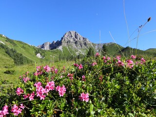 Appartamento per vacanze Großarl Ambiente 17