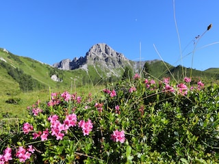 Vakantieappartement Großarl Omgeving 17