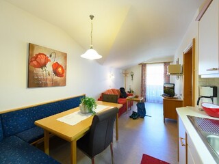 Vakantieappartement Großarl Kenmerken 12