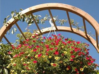 Vakantieappartement Mayrhofen Buitenaudio-opname 8