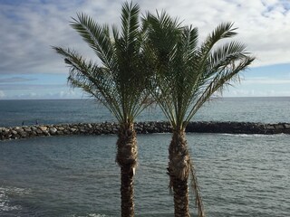 Vakantiehuis Arco da Calheta Kenmerken 15