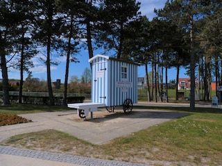 Ferienwohnung Grömitz Umgebung 15