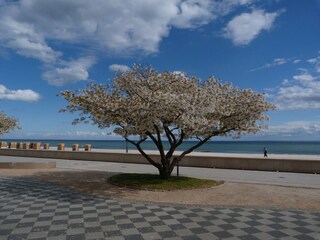 Ferienwohnung Grömitz Umgebung 12