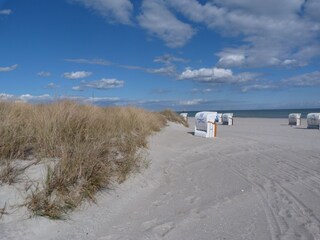 Ferienwohnung Grömitz Umgebung 18