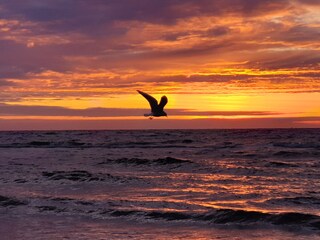 Ferienwohnung Grömitz Umgebung 19
