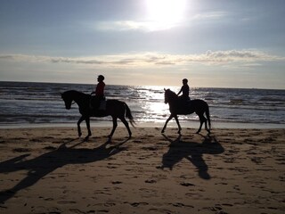 Casa per le vacanze Julianadorp Ambiente 19