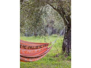 relax