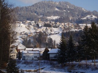 Vakantieappartement Zwischenwasser  16