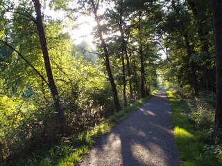 Appartamento per vacanze Zwischenwasser Ambiente 20