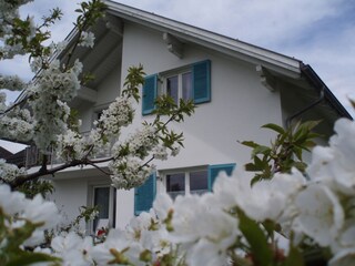 Vakantieappartement Zwischenwasser Buitenaudio-opname 3