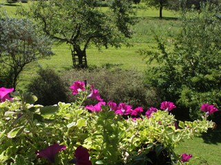 Appartamento per vacanze Zwischenwasser Registrazione all'aperto 10