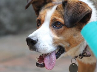 Casa per le vacanze Colognac Ambiente 23