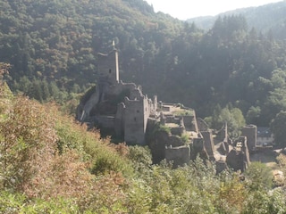 Niederburg in Manderscheid mkit neuem Kletterst (10 km)