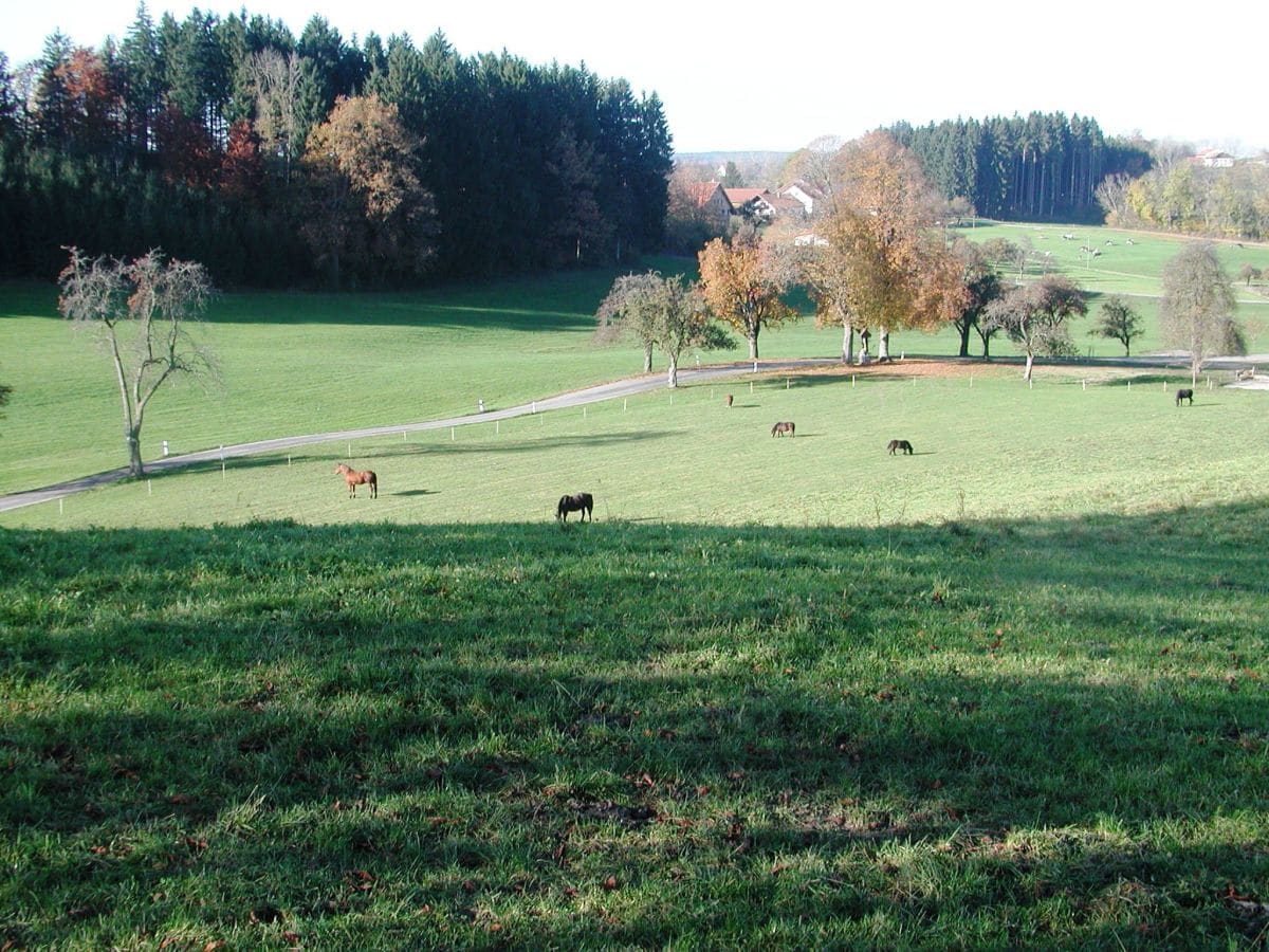 Allgäu-Landschaft