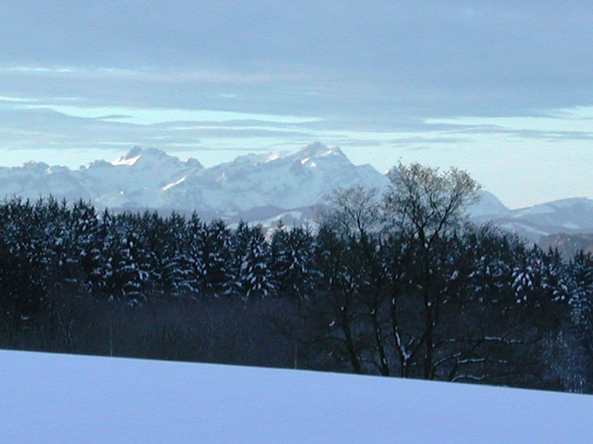 Blick vom Balkon