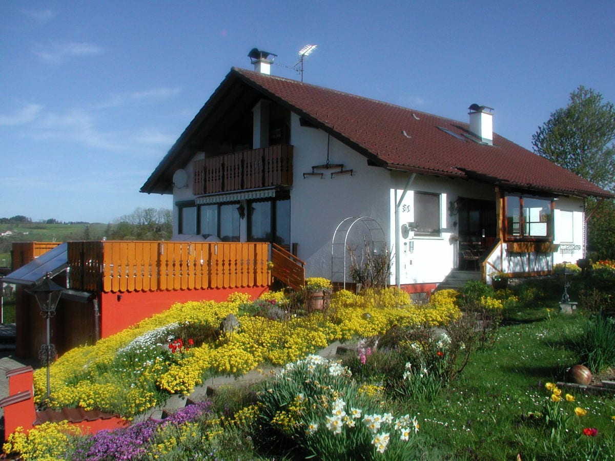 Frühjahr im Garten