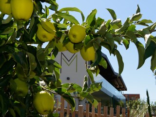 Appartamento per vacanze Burgstall Ambiente 19