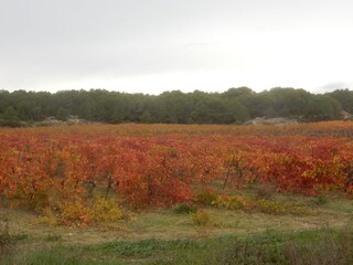 Maison de vacances Gruissan Environnement 35