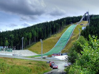 Holiday house Oelsnitz im Vogtland Environment 27