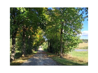 Holiday house Oelsnitz im Vogtland Environment 30