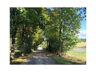 Wanderwege in der Nähe