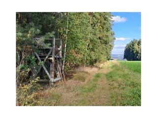 Holiday house Oelsnitz im Vogtland Environment 29