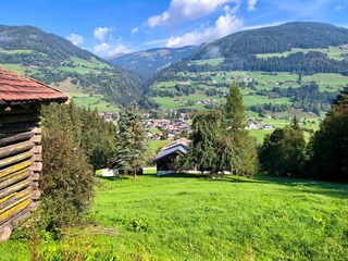 Almhütte in the summer