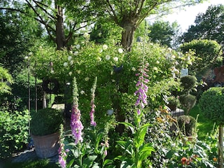 Bienen freundlicher Garten