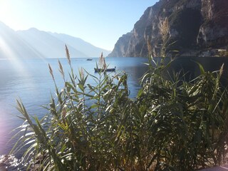 Appartamento Riva del Garda Ambiente 27