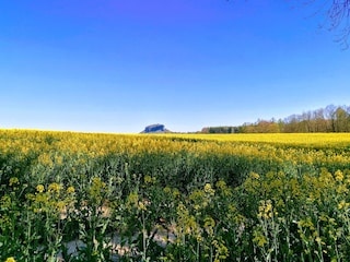 Lillienstein