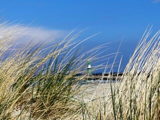 Sun, beach, and dunes