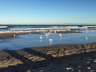 Binz