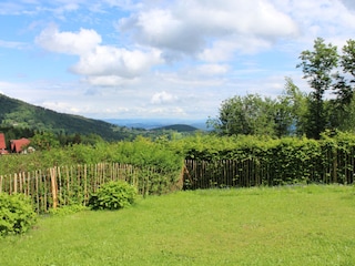 Grundstück mit Hecke und Holzzaun umgeben