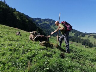 Wanderung mit dem Hausherr