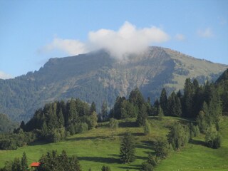 Bergsteigen und Tourengehen