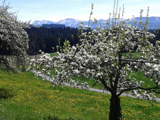 Wanderweg in Beule