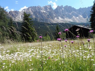 Appartamento per vacanze Welschnofen Registrazione all'aperto 6