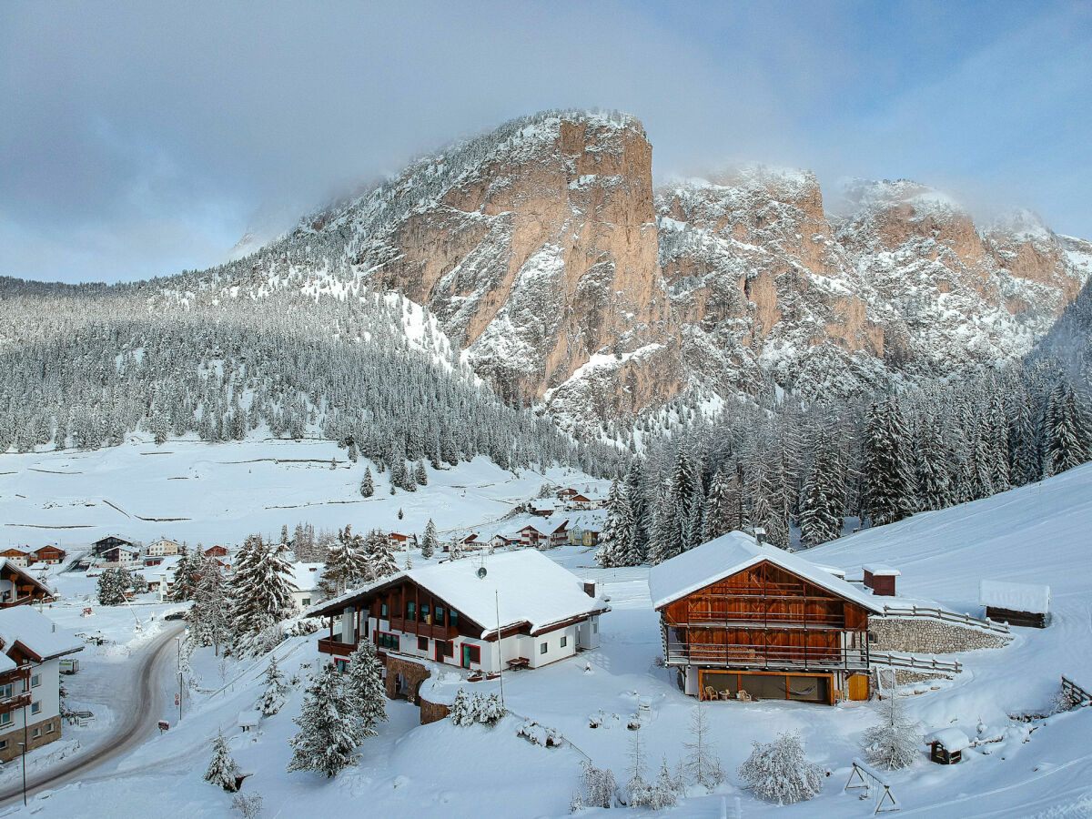 winter - Stevia mountain