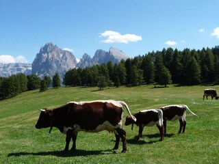 Appartamento Wolkenstein in Gröden Ambiente 16