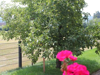 Vakantieappartement Winden im Elztal Buitenaudio-opname 11