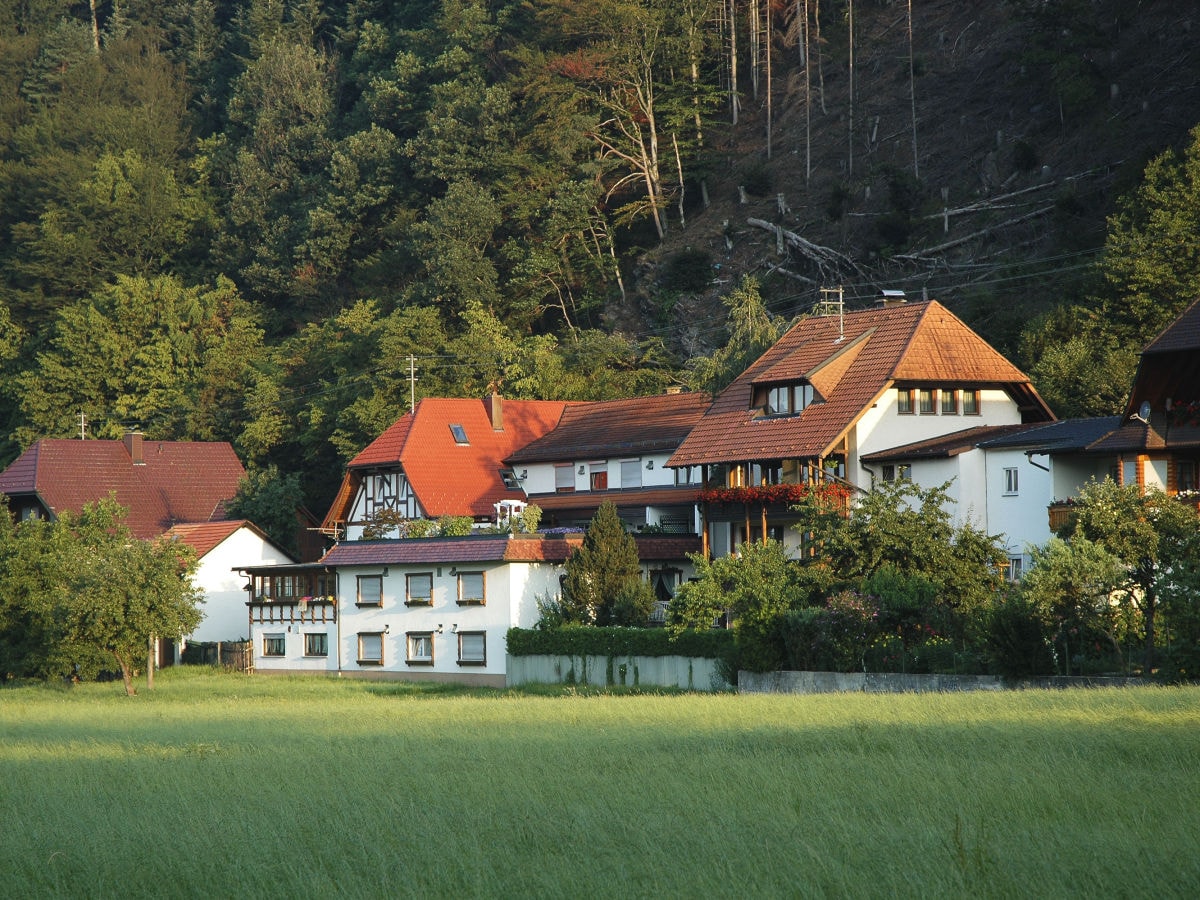 Vakantieappartement Winden im Elztal Buitenaudio-opname 1