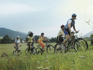 Appartamento per vacanze Winden im Elztal Ambiente 29