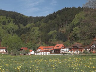 Vakantieappartement Winden im Elztal Buitenaudio-opname 4