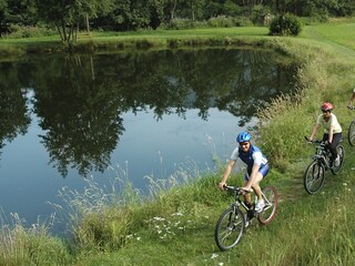 Appartamento per vacanze Winden im Elztal Ambiente 31