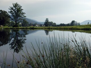 Appartamento per vacanze Winden im Elztal Ambiente 34