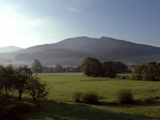 Appartamento per vacanze Winden im Elztal Ambiente 36