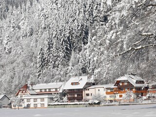 Vakantieappartement Winden im Elztal Buitenaudio-opname 13