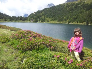 Appartamento Antholz Ambiente 17